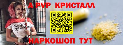 шишки Тара