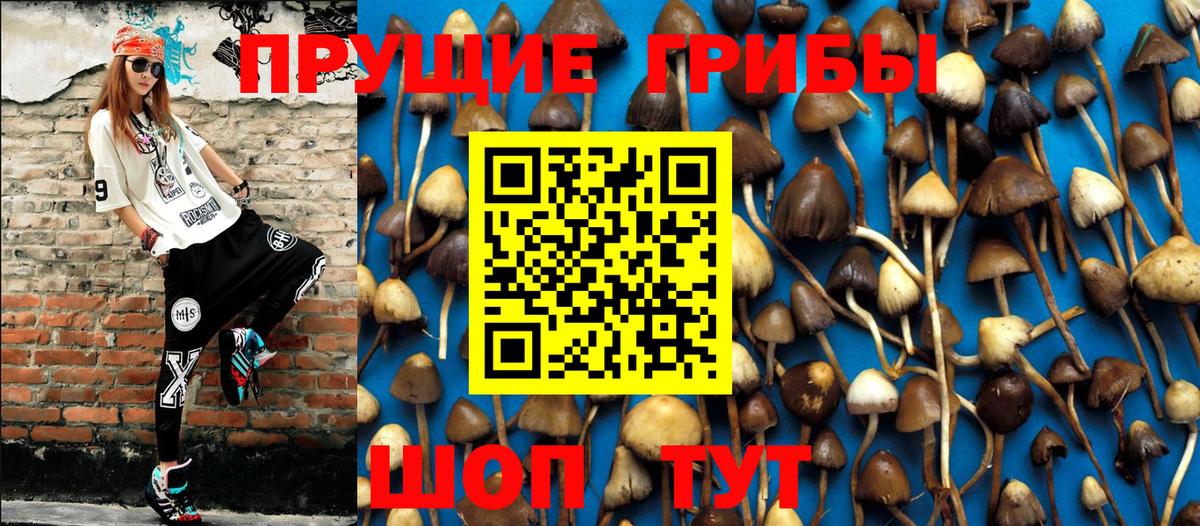 Наро-Фоминск  Галлюциногенные грибы мухоморы  Вход с VPN 