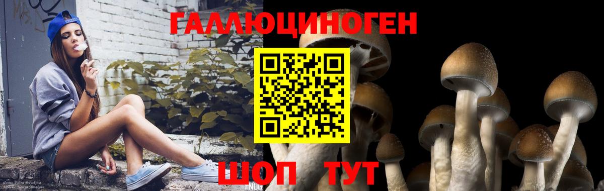 Галлюциногенные грибы мицелий Наро-Фоминск